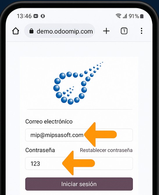 Pantalla de login: dónde escribir correo y contraseña